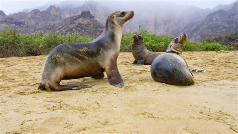 Ecuador Realiza El Canje De Deuda Externa Por Naturaleza M S Grande De