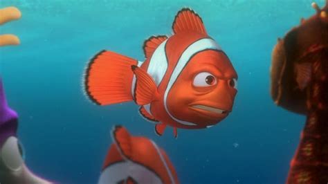 Finding Nemo - Finding Nemo Image (3562379) - Fanpop