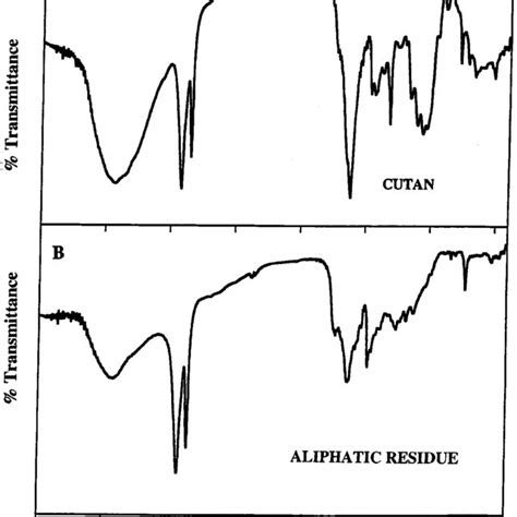 Ab The Ft Ir Spectra Of Isolated Cutan A And Of The Aliphatic