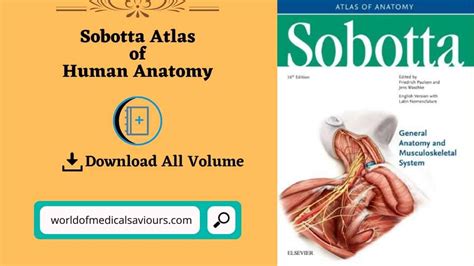 Dorf Ver Ffentlichung Empfangsmaschine Sobotta Anatomski Atlas Seltsam