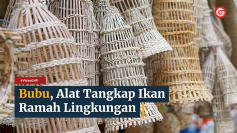 Bubu Alat Tangkap Ikan Tradisional Yang Ramah Lingkungan Video Gnfi