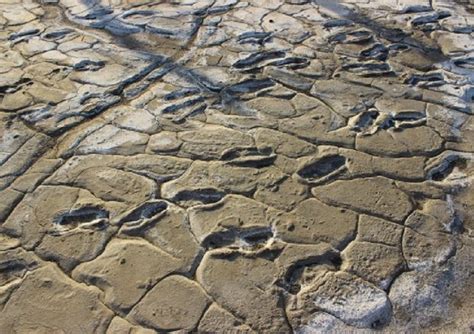 Fascinating sites of prehistoric human footprints in East Africa you should know about ...