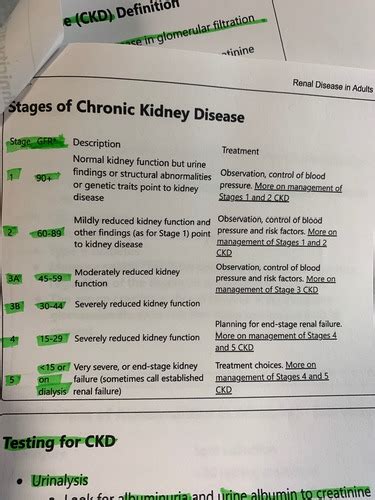 Exam Renal Flashcards Quizlet