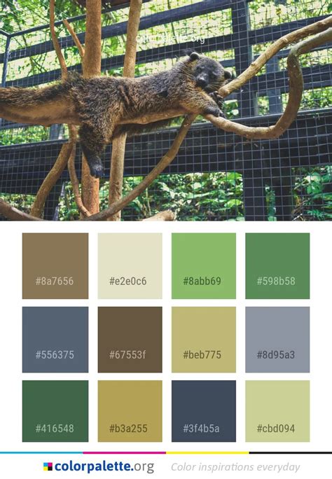 Fauna Zoo Wildlife Color Palette