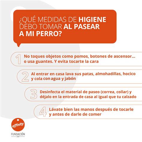 Qué medidas de higiene debo tomar al pasear a mi perro Fundación