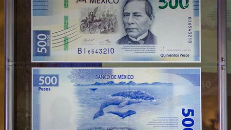 Revelan cómo operan bandas de falsificadores de billetes en CDMX