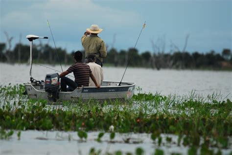 Per Odo Da Piracema Come A No Dia De Novembro No Tocantins