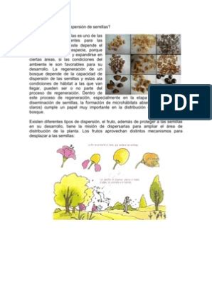 Secuencia de 2 º segundo grado Dispersión semillas Semilla Plantas