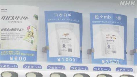 日本推出昆虫零食贩卖机：提供18种不同口味炸虫子 有的卖断货 国际视野 华声新闻 华声在线