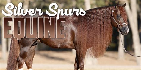 Silver Spurs Equine Miljonerna Rullar In För Reiningens Mästare