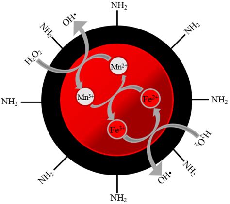 Catalysts Free Full Text From Fenton And Orr 2e− Type Catalysts To