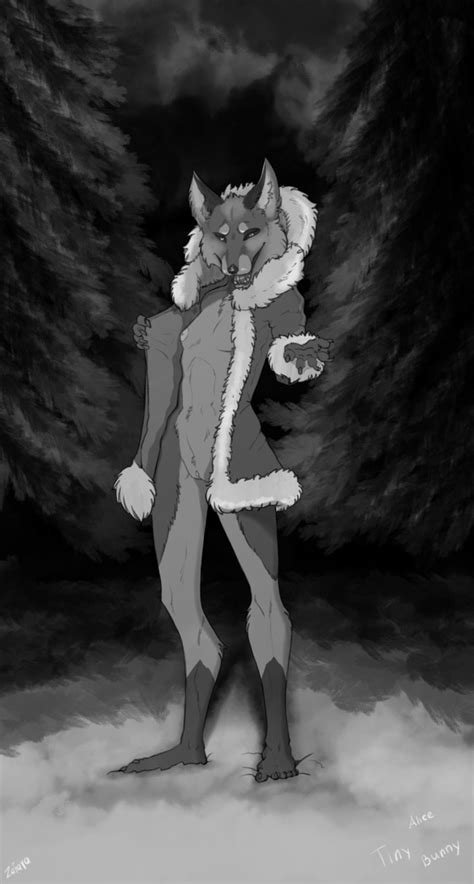 Rule 34 1girls Alice The Vixen Art Female Female Only Fox Furry Game