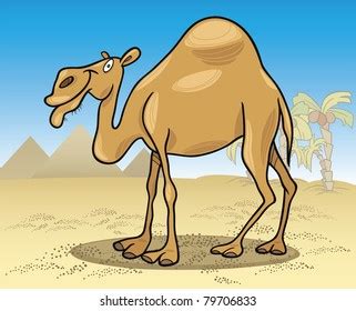 Cartoon Illustration Dromedary Camel On Desert Stock Vector (Royalty ...