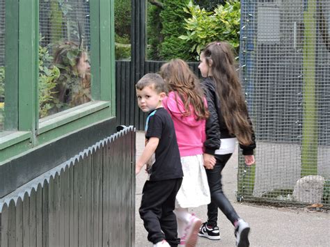 Gift day passes - Five Sisters Zoo