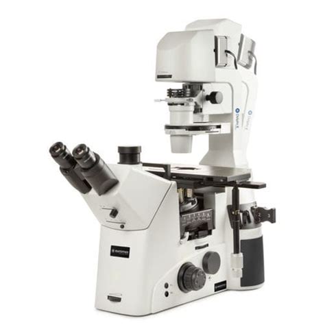 Microscópio invertido Delphi X Euromex óptico de laboratório