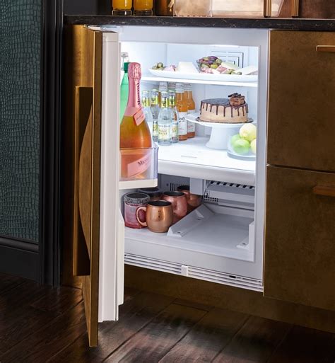 Designer Undercounter | Sub-Zero 24" Fridge/Freezer DEU2450CI