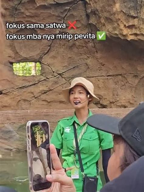 Viral Petugas Taman Safari Disebut Mirip Pevita Pearce Ini Curi Perhatian Hot Liputan