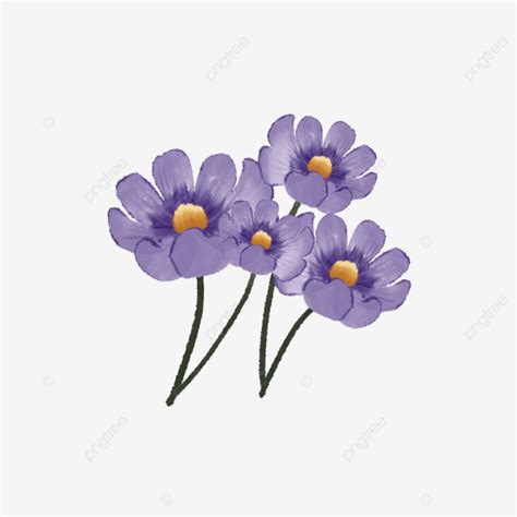 Beautiful Watercolor Purple Cosmos Flowers Cosmos Flower Flower