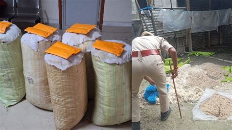 Assam Police Seizes 187 Of Suspected Cannabis Destroys Illicit Liquor