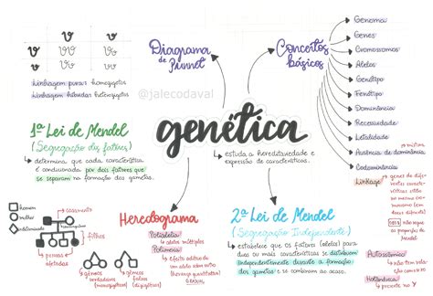 Resumo sobre Genética Biologia Estuda ENEM