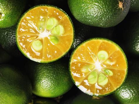 Calamansi Stock Image Image Of Flavor Calamansi Lime 17627193