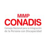 Conadis Practicas Convocatorias Preprofesionales Y Profesionales