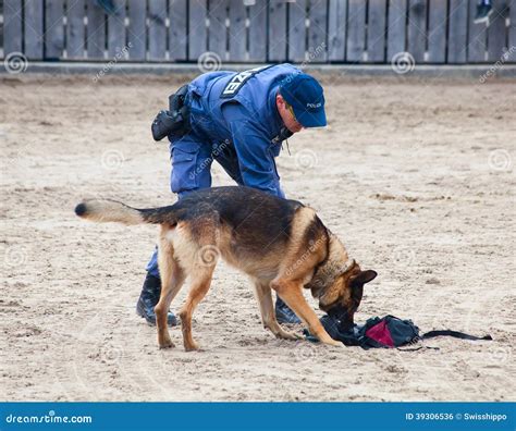 How Old Are Police Dogs When They Start Training