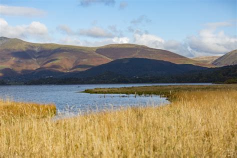 Derwent Water Walk Free Stock Photo - Public Domain Pictures