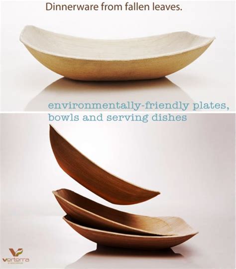 VerTerra Makes Disponable Dinnerware Out Of Leaves Eco Friendly Watch