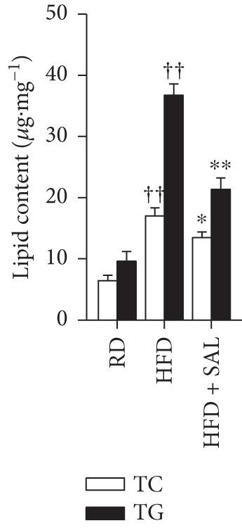 Salidroside Sal Improves Serum Lipid Profiles And Alleviates Hepatic