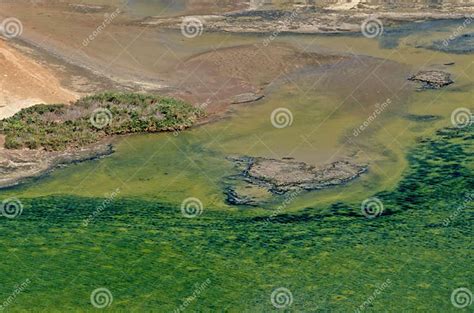 Saba Island Zubair Group Stock Photo Image Of Beautiful 318671222