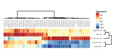R语言教程 高分文章中物种与代谢物相关性热图是怎么画的？ 知乎