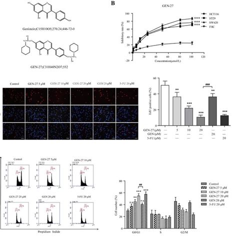 Gen 27 Inhibits Proliferation Of Human Colorectal Carcinoma Cells A