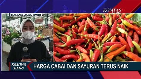 Gagal Panen Akibat Cuaca Buruk Harga Cabai Di Kediri Melambung Tinggi