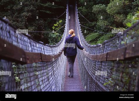 Female Walking Across Cable Bridge Over The Hutt River In Kaitoke