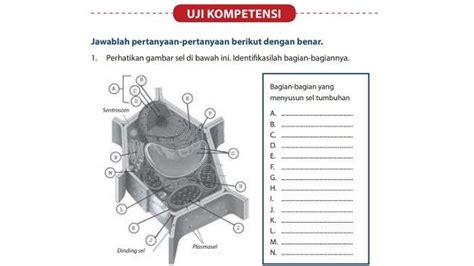 Kunci Jawaban IPA Kelas 7 Halaman 26 Semester 2 Uji Kompetensi Sel