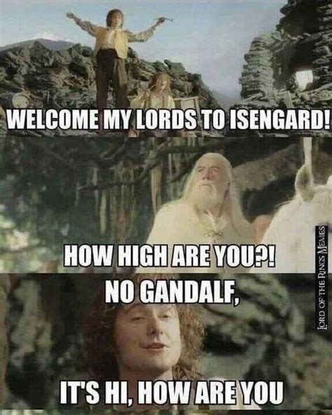 Hi How Are You Lord Of The Rings Lotr Funny Hobbit Memes