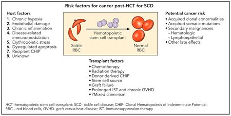 Sickle Cell Anemia Risk Factors