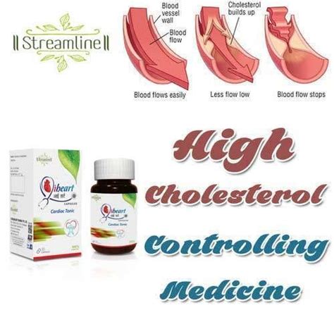 500 Mg High Cholesterol Controlling Medicine, Grade Standard: Medicine ...