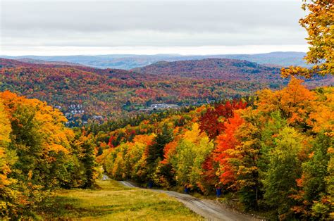 Fall Weather Forecast 2024 | The Old Farmer's Almanac