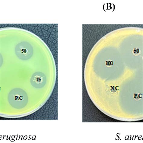 Antibacterial Activity Of Carrageenan Crg Hydrogel And