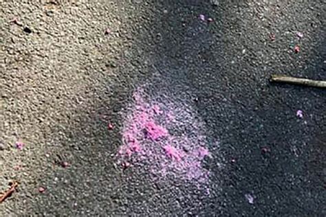 sugradani upozoravaju otrov za pse  borci  okolini wwwlobi infors