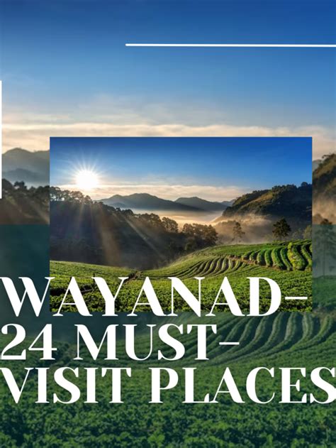 Top 10 Places To Visit In Wayanad The Travel Junkies