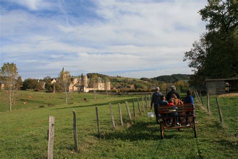 Balades En Calèches Ou à Dos Dâne Bournazel Tourisme Aveyron