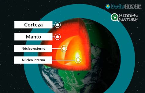 Giro De Vuelta Proporci N Meandro Cual Es La Funcion Del Manto