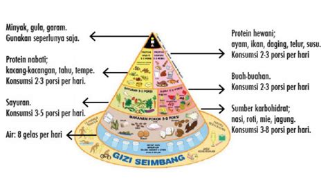 Detail Gambar Piramida Gizi Seimbang Koleksi Nomer 22