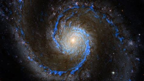 The Whirlpool Galaxy Spiral Galaxy M51