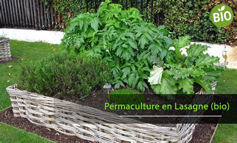 Pratiquer La Permaculture En Lasagne Pour Un Potager Biologique