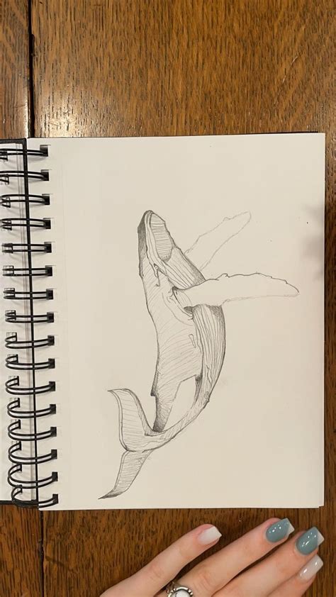 Whale sketch | Whale sketch, Art inspiration painting, Graphite art