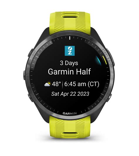 Garmin Forerunner 965 Smartwatch Wellbots